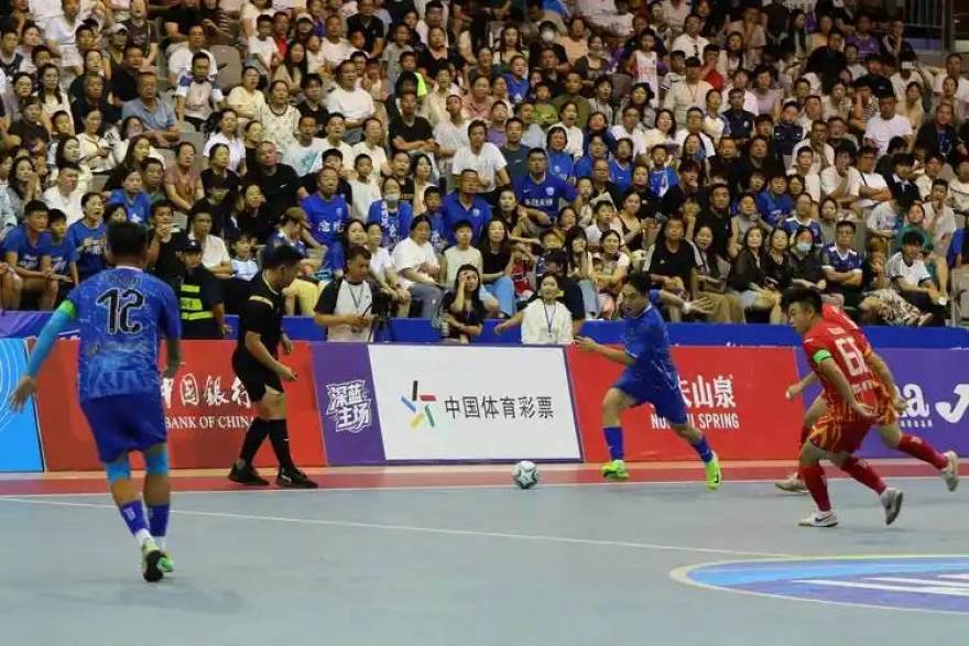 人人体育 从球场边到直播间:三位草根体育人的转身故事