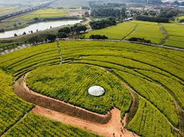 今年会 张家界绿化市容管理事务中心